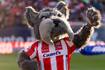 El fascinante origen de Lucho, la nueva mascota del Atlético San Luis