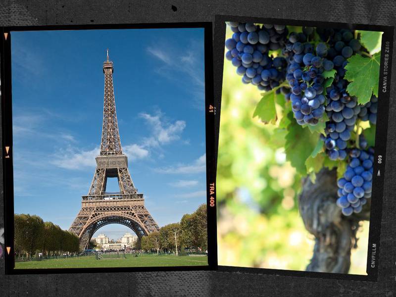 El secreto dentro de París: hay viñedos en Montmartre y así los puedes visitar